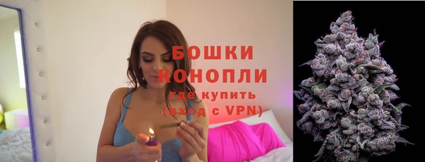 a pvp Аша