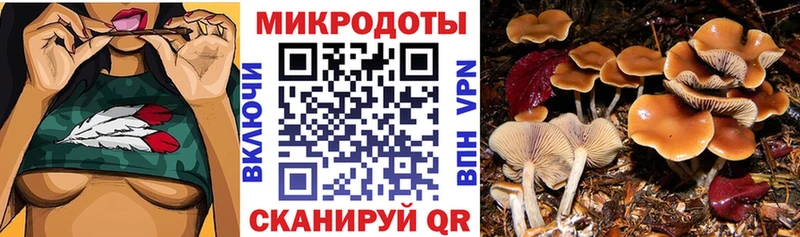 Галлюциногенные грибы мухоморы  Чапаевск 