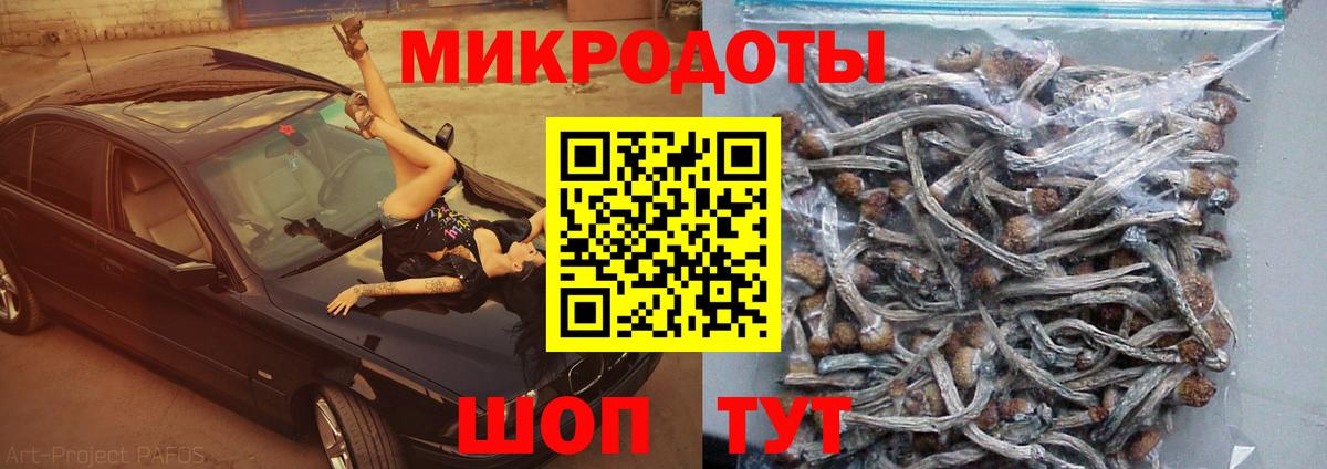 Галлюциногенные грибы Чапаевск