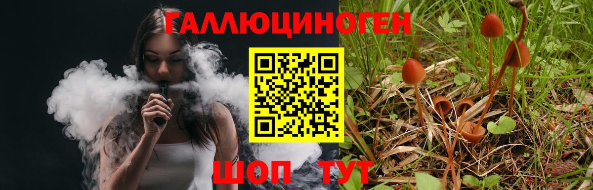 Псилоцибиновые грибы Psilocybe  Чапаевск 